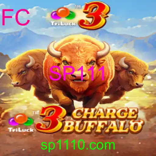 3ChargeBuffalo